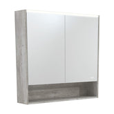 Fienza 900 LED Mirror Cabinet with Display Shelf, Industrial
